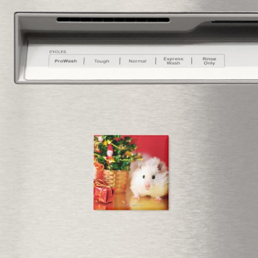 Hamster Kokolinka mit Weihnachtsbaum Magnet (In Situ (Geschirrspüler))