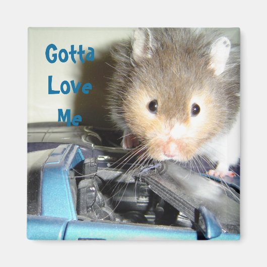 Hamster-Liebe Magnet (Vorne)