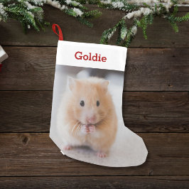 Hamster Lover Foto & Name Personalisiert Kleiner Weihnachtsstrumpf