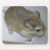Hamster-Matte Mousepad (Vorne)
