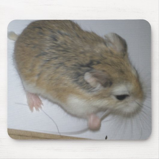 Hamster-Matte Mousepad (Vorne)