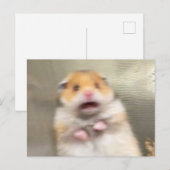 Hamster Meme Postkarte (Vorne/Hinten)