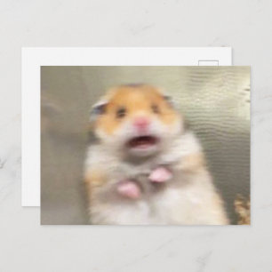 Hamster Meme Postkarte