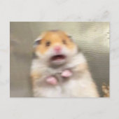 Hamster Meme Postkarte (Vorderseite)