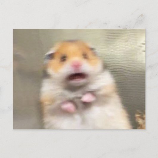 Hamster Meme Postkarte (Vorderseite)