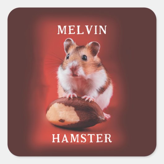 Hamster mit brasilianischer Nut Quadratischer Aufkleber (Vorderseite)