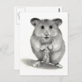 HAMSTER MIT PEANUT, PENCIL ART POSTKARTE (Vorne/Hinten)