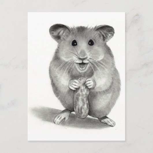 HAMSTER MIT PEANUT, PENCIL ART POSTKARTE (Vorderseite)