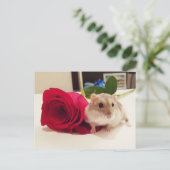 Hamster mit Rose Postkarte (Stehend Vorderseite)