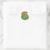 Hamster mit Watermelon Runder Aufkleber (Tasche)
