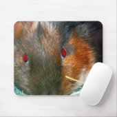 Hamster Mouse Pad Mousepad (Mit Mouse)