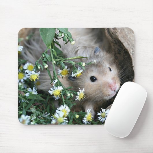 Hamster mousepad (Mit Mouse)