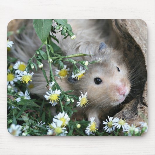 Hamster mousepad (Vorne)