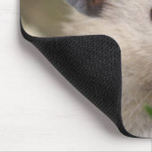 Hamster mousepad (Ecke)