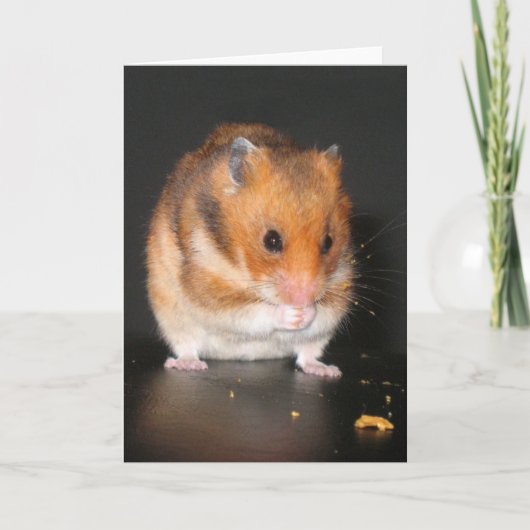 Hamster notecard karte (Vorderseite)