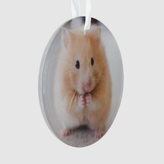 Hamster Ornament (Vorderseite)