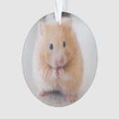 Hamster Ornament (Vorderseite)