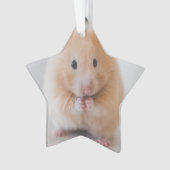 Hamster Ornament (Vorderseite)