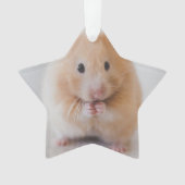 Hamster Ornament (Vorderseite)