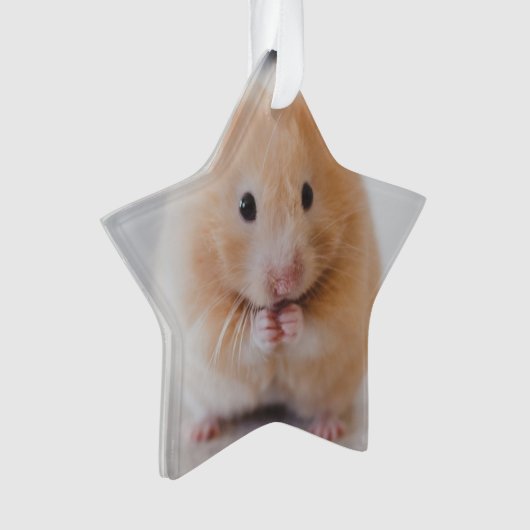 Hamster Ornament (Vorderseite)