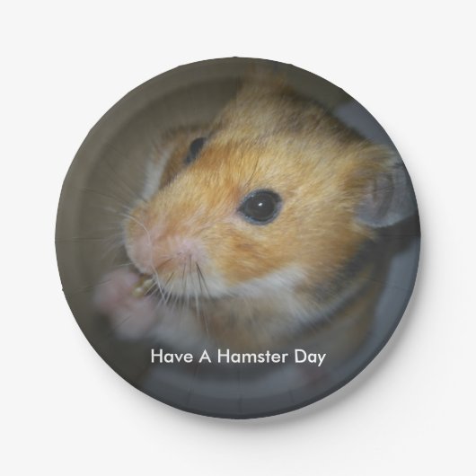 Hamster-PapierTeller Pappteller (Vorderseite)