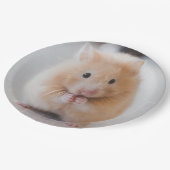 Hamster Pappteller (Schrägansicht)