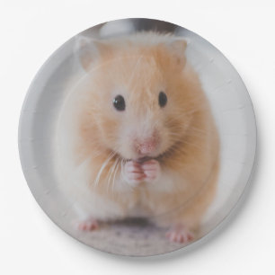 Hamster Pappteller