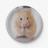 Hamster Pappteller (Vorderseite)
