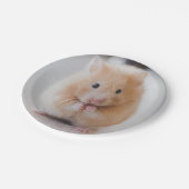 Hamster Pappteller (Schrägansicht)