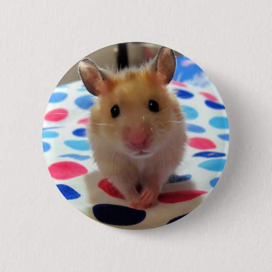 Hamster Pinback Knopf Button (Vorderseite)