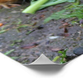 Hamster Poster (Ecke)