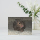 Hamster Postkarte (Stehend Vorderseite)