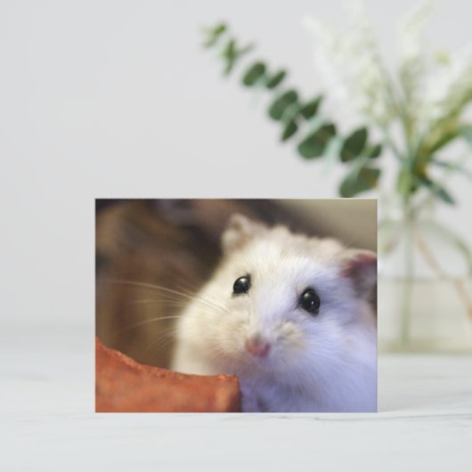 Hamster Postkarte (Stehend Vorderseite)
