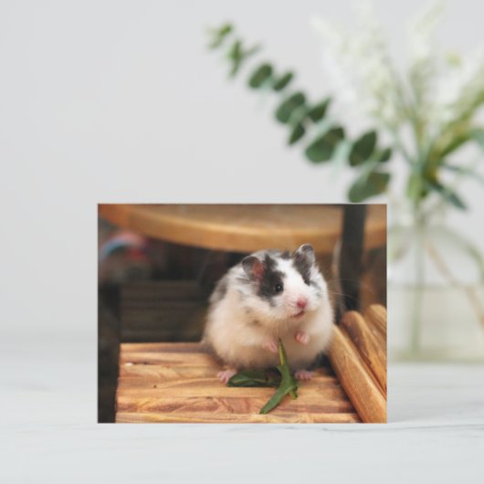 Hamster Postkarte (Stehend Vorderseite)