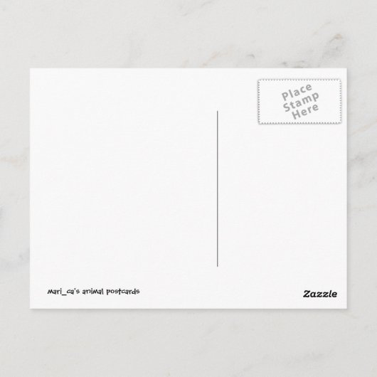 Hamster Postkarte (Rückseite)