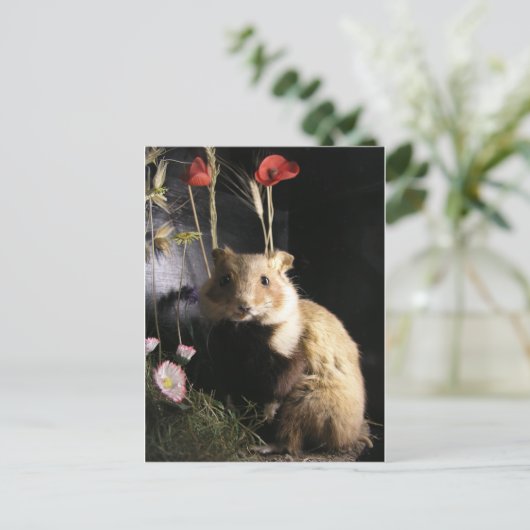 Hamster Postkarte (Stehend Vorderseite)