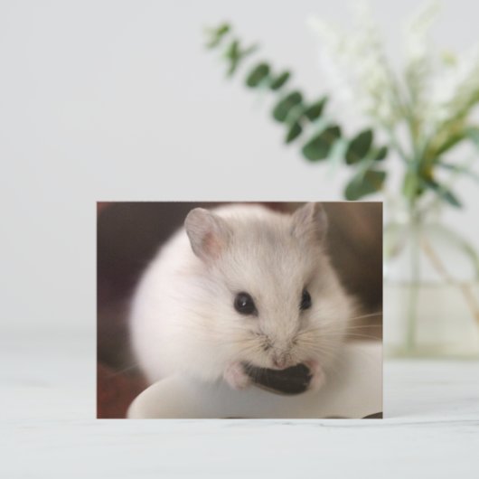 Hamster Postkarte (Stehend Vorderseite)