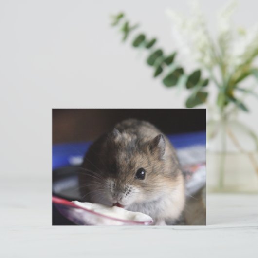 Hamster Postkarte (Stehend Vorderseite)