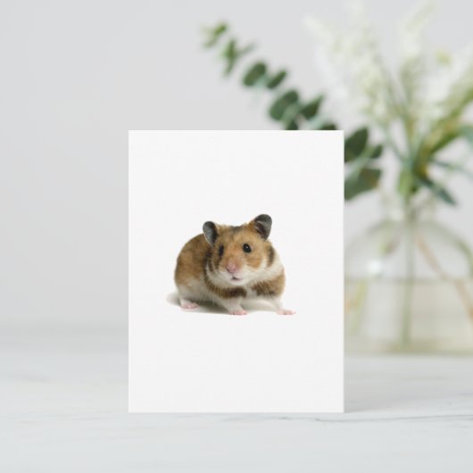 Hamster Postkarte (Stehend Vorderseite)