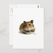 Hamster Postkarte (Vorne/Hinten)