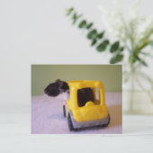 Hamster-Postkarte Postkarte (Stehend Vorderseite)