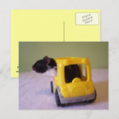 Hamster-Postkarte Postkarte (Vorne/Hinten)