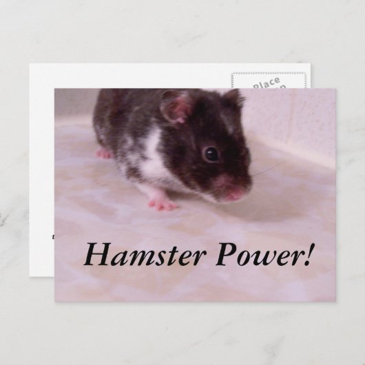 Hamster Power Noah, Hamster Power! Postkarte (Vorne/Hinten)