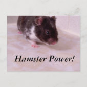 Hamster Power Noah, Hamster Power! Postkarte (Vorderseite)