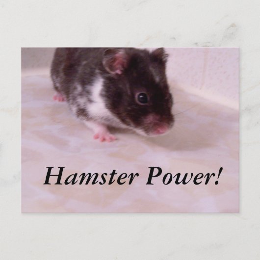 Hamster Power Noah, Hamster Power! Postkarte (Vorderseite)