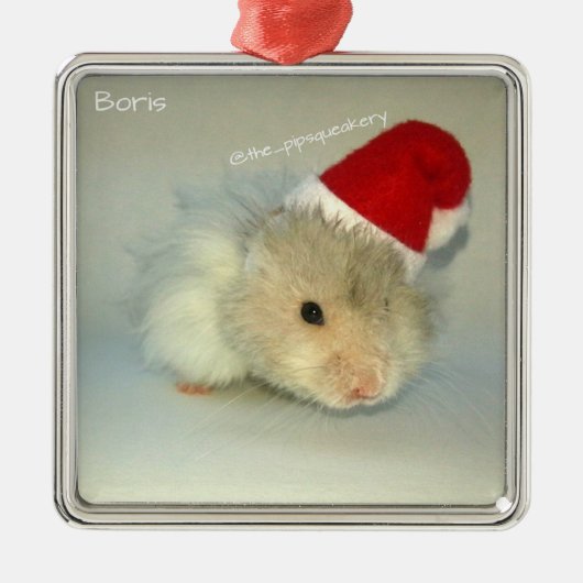 Hamster Sankt! Silbernes Ornament (Vorne)