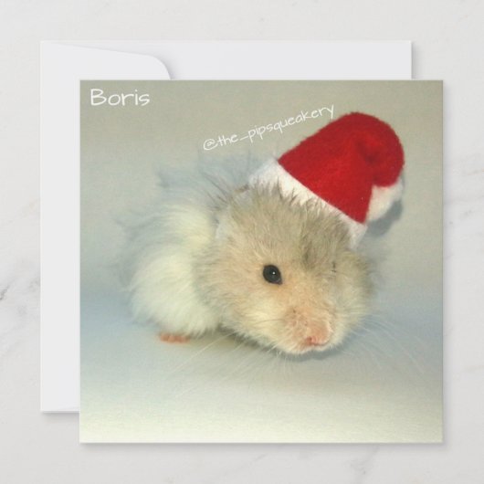 Hamster Santa! Feiertagskarte (Vorderseite)