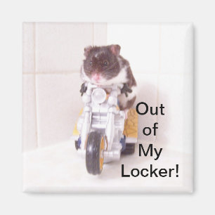 Hamster-Schließfach-Magnet Magnet