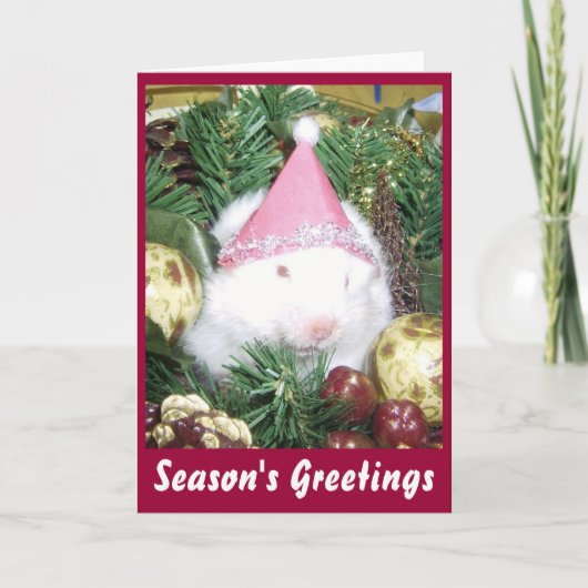 Hamster Season's Greetings Feiertagskarte (Vorderseite)
