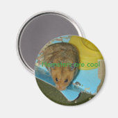 Hamster sind cool Magnet (Vorderseite/Rückseite)